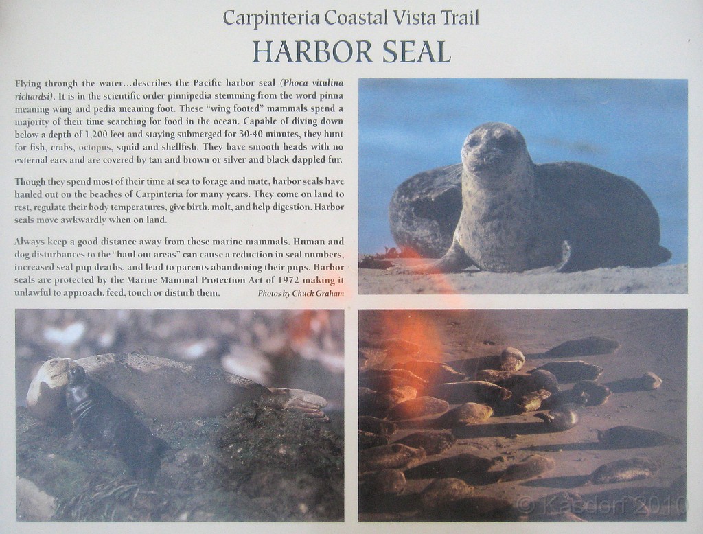 Carpinteria California 2010-02 0831.jpg - A trip to Carpinteria California. Surfing, food, beachs.